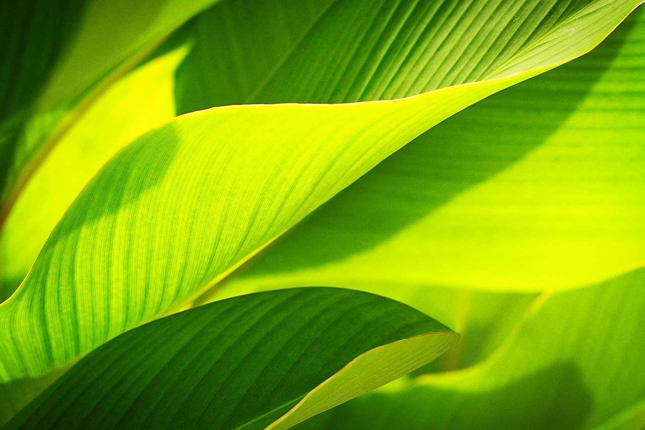 Nachhaltiges Drucken